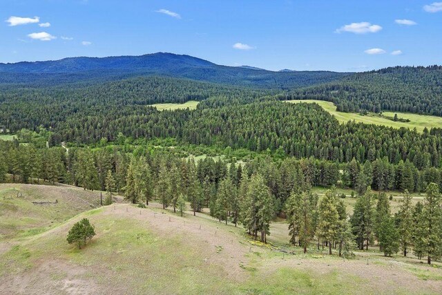 992 Bear Creek Rd, Colville, WA 99114 - photo 5