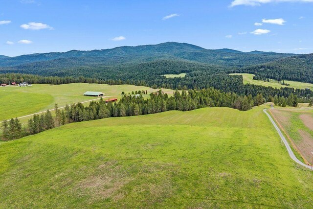 992 Bear Creek Rd, Colville, WA 99114 - photo 6