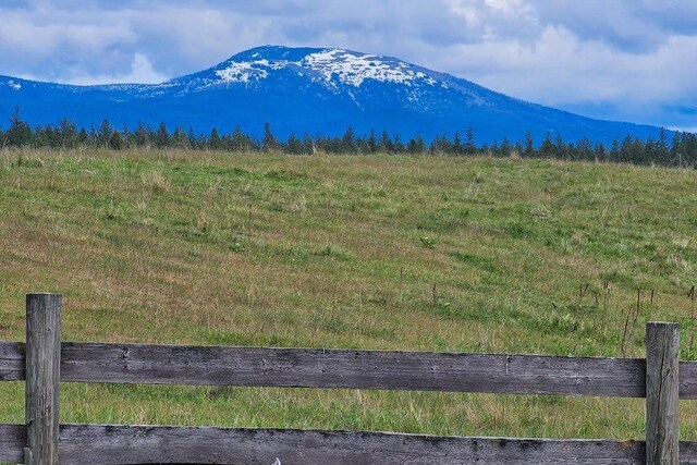 992 Bear Creek Rd, Colville, WA 99114 - photo 7