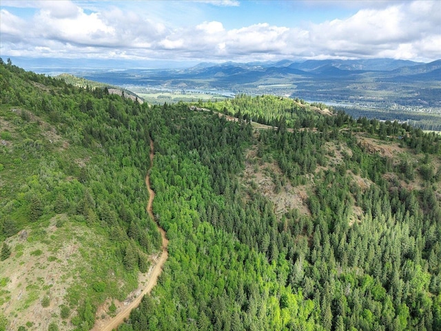NKA Rocky Mountain Rd, Newport, WA 99156