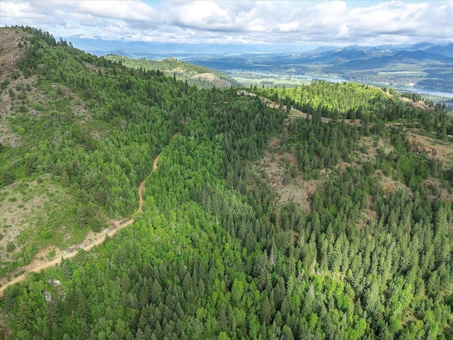 NKA Rocky Mountain Rd, Newport, WA 99156