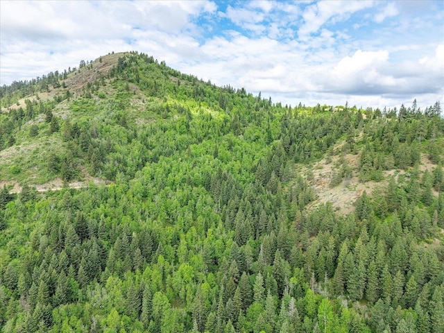 NKA Rocky Mountain Rd, Newport, WA 99156