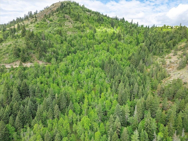 NKA Rocky Mountain Rd, Newport, WA 99156