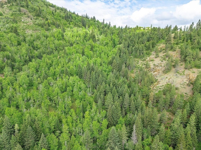 NKA Rocky Mountain Rd, Newport, WA 99156