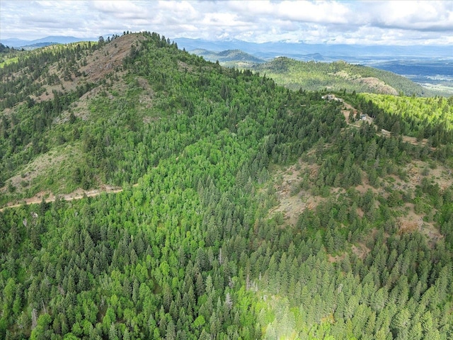 NKA Rocky Mountain Rd, Newport, WA 99156