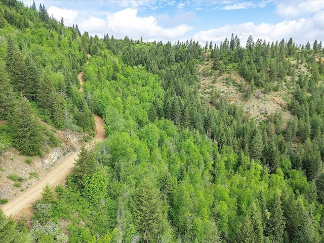 NKA Rocky Mountain Rd, Newport, WA 99156