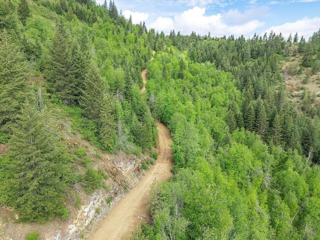 NKA Rocky Mountain Rd, Newport, WA 99156