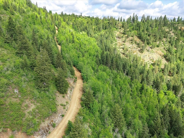 NKA Rocky Mountain Rd, Newport, WA 99156