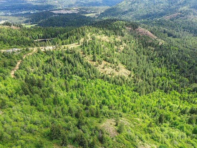 NKA Rocky Mountain Rd, Newport, WA 99156