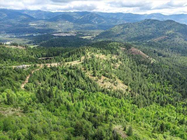 NKA Rocky Mountain Rd, Newport, WA 99156
