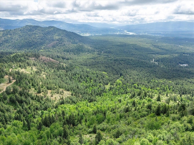 NKA Rocky Mountain Rd, Newport, WA 99156