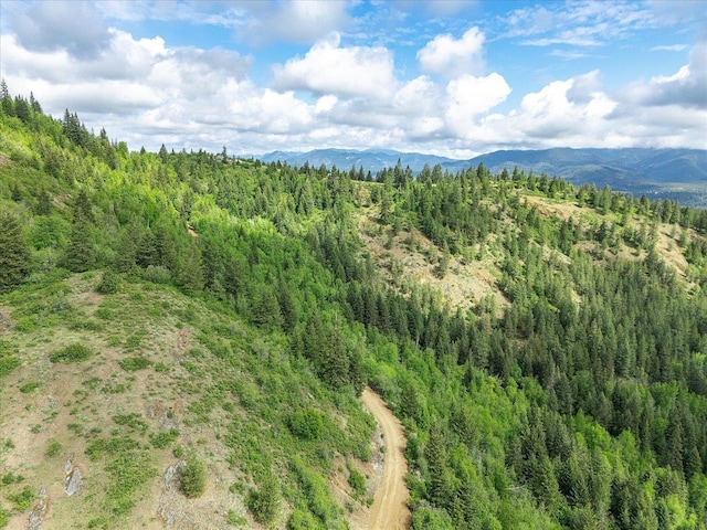 NKA Rocky Mountain Rd, Newport, WA 99156