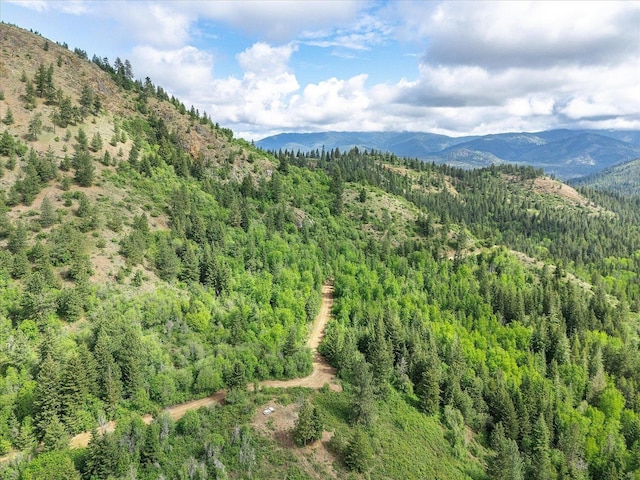NKA Rocky Mountain Rd, Newport, WA 99156