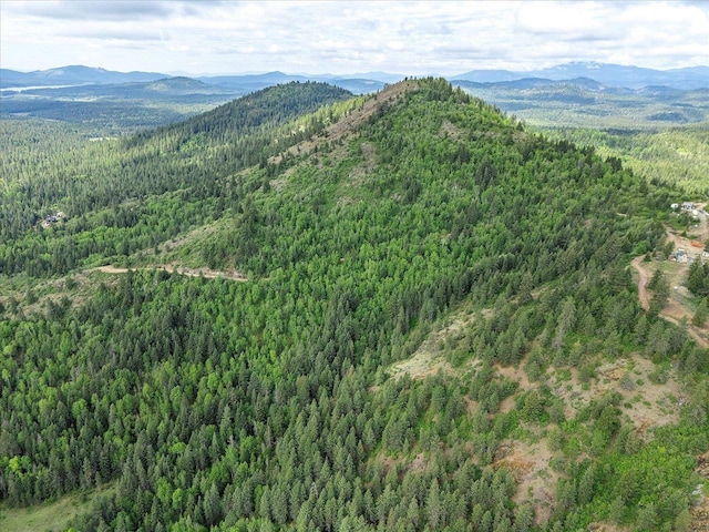 NKA Rocky Mountain Rd, Newport, WA 99156