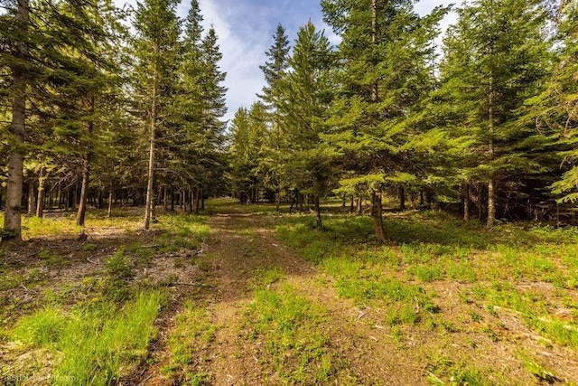 3600 W Jumpoff Rd, Valley, WA 99181