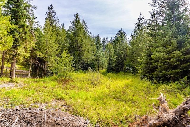 3600 W Jumpoff Rd, Valley, WA 99181