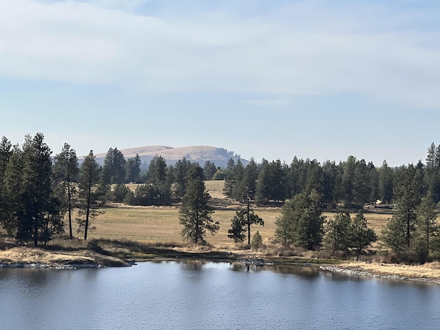 12000 S Meadow Rd Approx Address, Unit Approx Address, Medical Lake, WA 99022 - photo 4