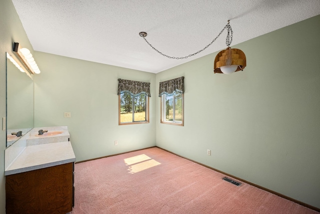 4796 W Gibson Dahl Rd, Clayton, WA 99110 - unfurnished dining area featuring a textured ceiling, light colored carpet, a sink, and baseboards