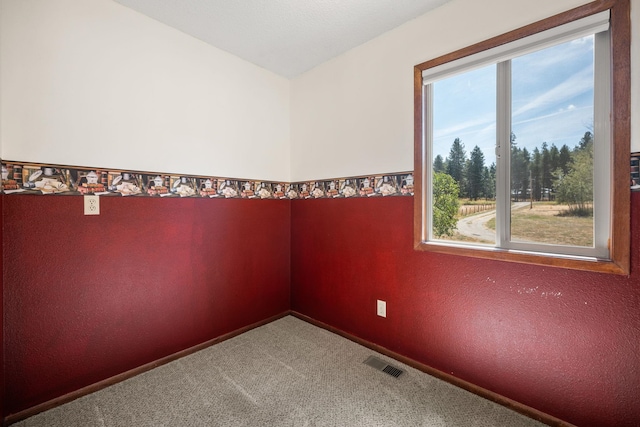 4796 W Gibson Dahl Rd, Clayton, WA 99110 - carpeted empty room with plenty of natural light and baseboards