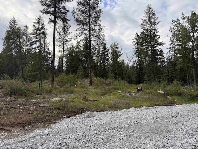 NKN Veit Rd, Newport, WA 99156