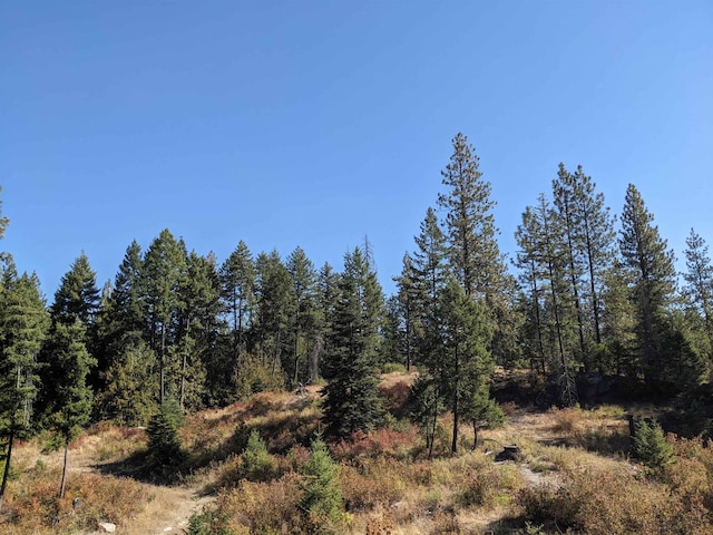 NKN Veit Rd, Newport, WA 99156