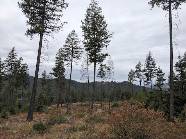 NKN Veit Rd, Newport, WA 99156