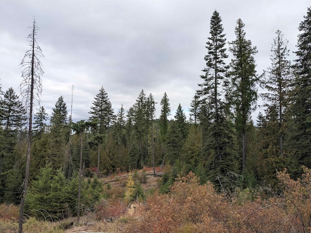 NKN Veit Rd, Newport, WA 99156