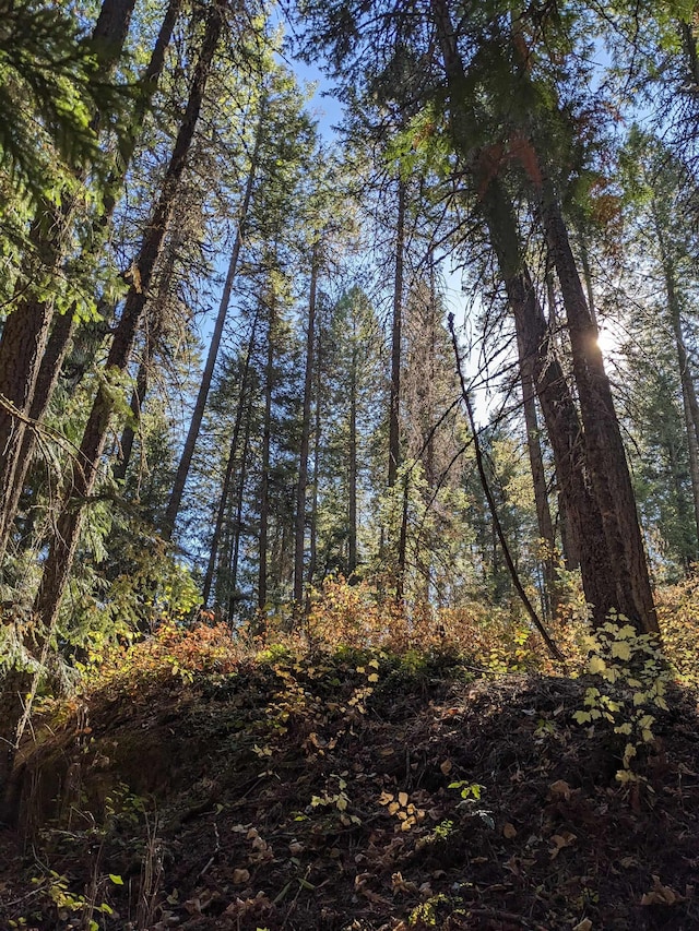 NKN Veit Rd, Newport, WA 99156