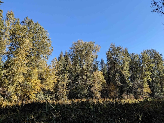 NKN Veit Rd, Newport, WA 99156