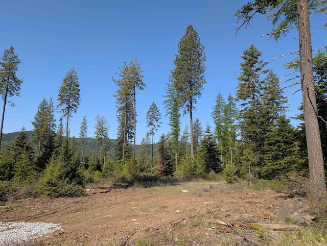 NKN Veit Rd, Newport, WA 99156