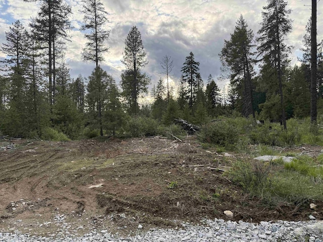 NKN Veit Rd, Newport, WA 99156