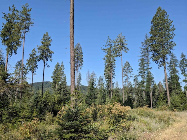 NKN Veit Rd, Newport, WA 99156