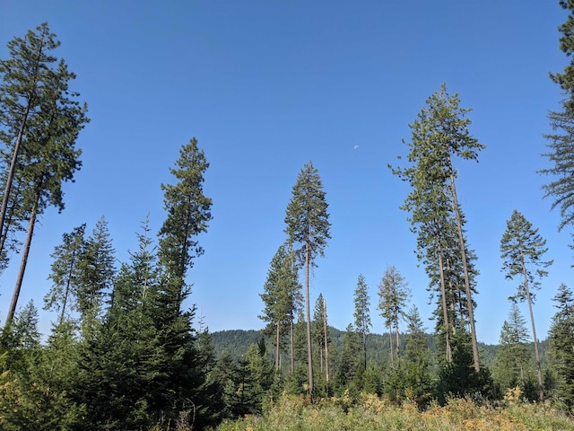 NKN Veit Rd, Newport, WA 99156