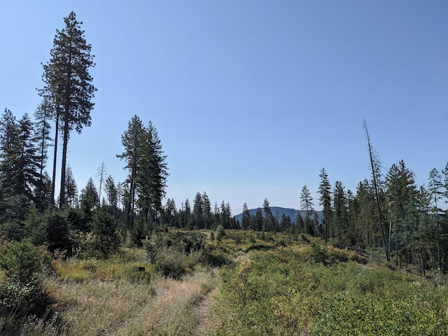 NKN Veit Rd, Newport, WA 99156