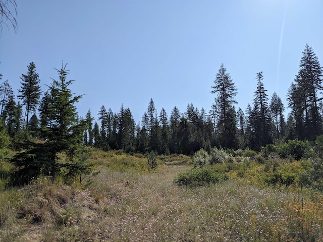 NKN Veit Rd, Newport, WA 99156