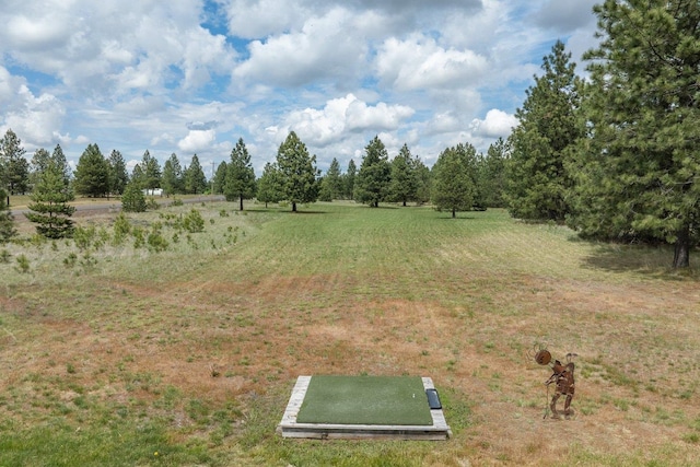 17110 W Boone Ln, Medical Lake, WA 99022 - view of yard with a view of rural / pastoral area