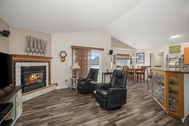 17110 W Boone Ln, Medical Lake, WA 99022 - living area featuring dark wood-type flooring, a fireplace, and lofted ceiling