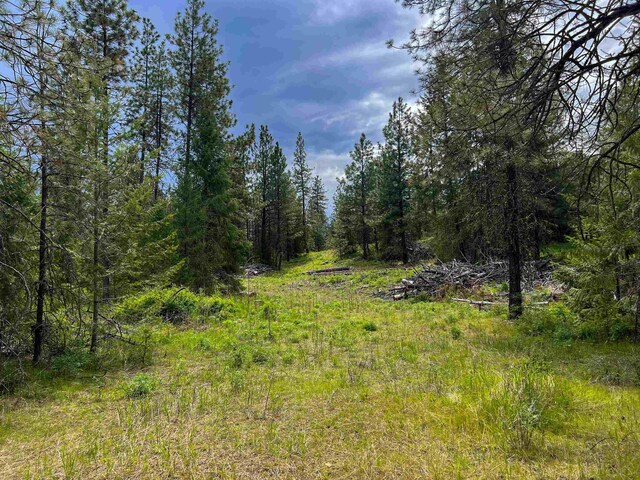 2010 Clemons Rd, Rice, WA 99167 - view of woods