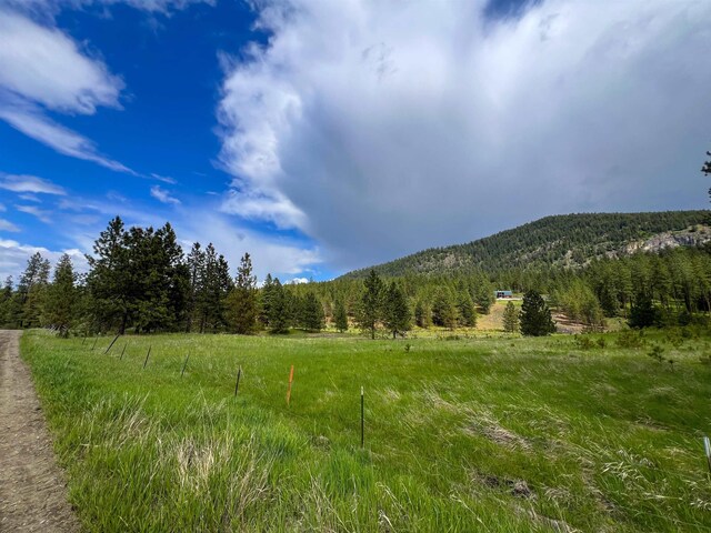 2010 Clemons Rd, Rice, WA 99167 - view of mountain background featuring a forest and rural landscape