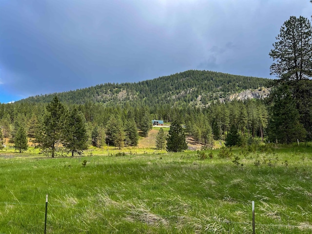 2010 Clemons Rd, Rice, WA 99167 - view of mountain backdrop with a forest and rural landscape