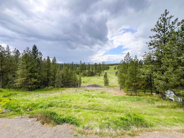 2010 Clemons Rd, Rice, WA 99167 - view of local wilderness featuring rural landscape