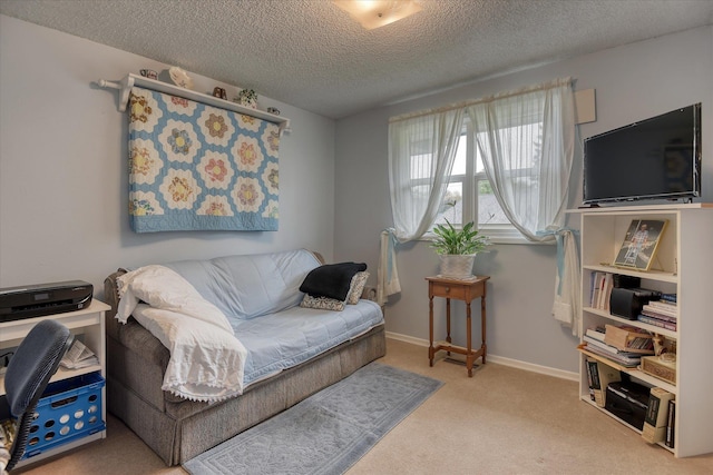 12820 E Sinto Ave, Spokane Valley, WA 99216 - sitting room with a textured ceiling, carpet floors, and baseboards