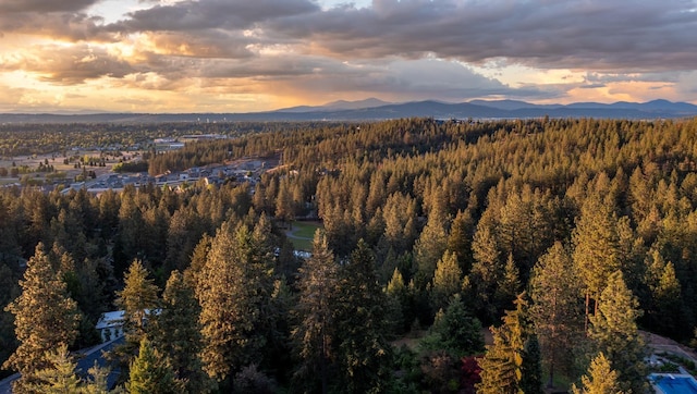 12515 E Apache Pass Rd, Spokane, WA 99206 - mountain view featuring a forest