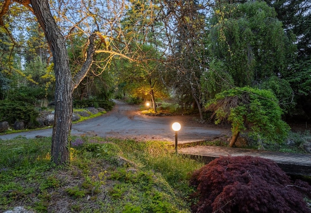 12515 E Apache Pass Rd, Spokane, WA 99206 - view of road