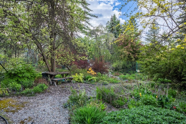 12515 E Apache Pass Rd, Spokane, WA 99206 - view of yard