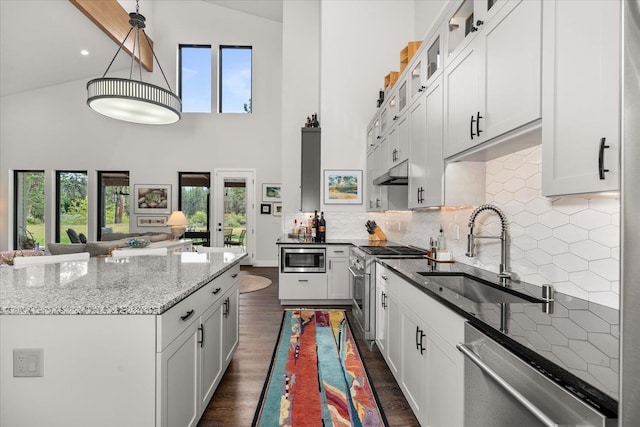220 E Meadowlane Rd, Spokane, WA 99224 - kitchen featuring a sink, appliances with stainless steel finishes, plenty of natural light, high vaulted ceiling, and light stone counters