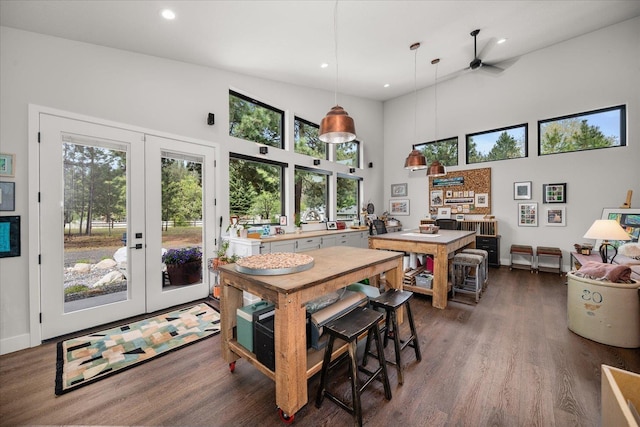 220 E Meadowlane Rd, Spokane, WA 99224 - dining area with french doors, plenty of natural light, a ceiling fan, dark wood-style floors, and recessed lighting