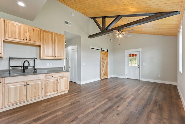 344 W Deer Park Milan Rd, Deer Park, WA 99006 - kitchen with a sink, a barn door, light brown cabinets, a ceiling fan, and high vaulted ceiling