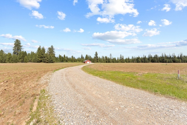 344 W Deer Park Milan Rd, Deer Park, WA 99006 - view of dirt / gravel road with a rural view and a wooded view