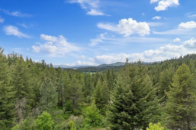 18109 N Harvard Ln, Newman Lake, WA 99025 - view of property exterior featuring a yard and a detached garage